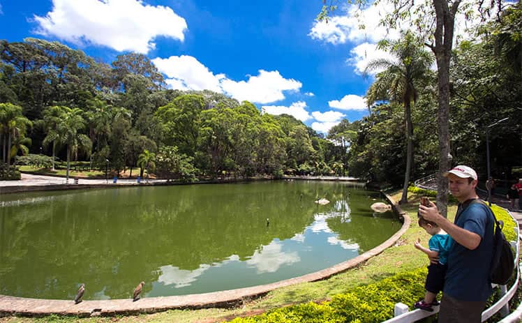 Horto Florestal, Zona Norte de São Paulo SP