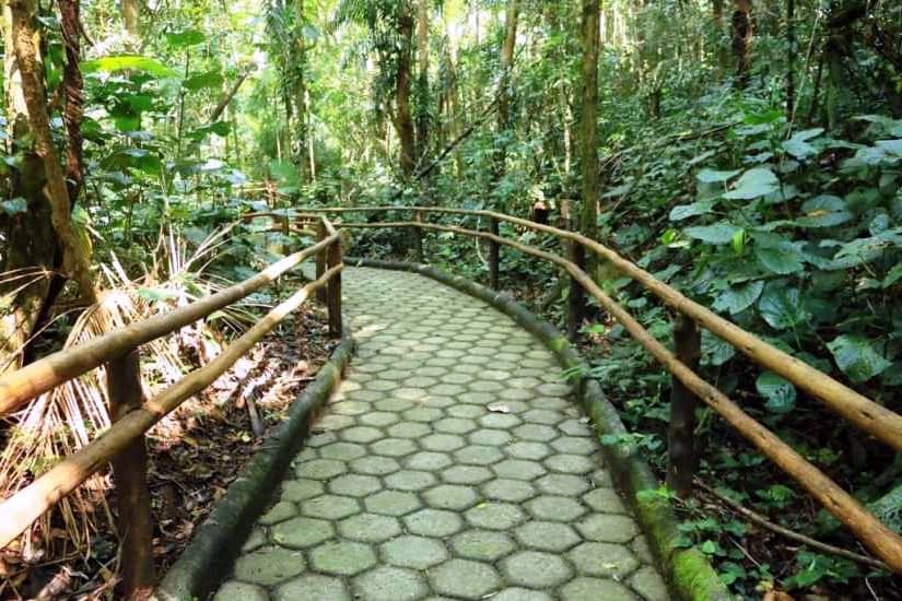 Parque Estadual da Serra do Mar, Caraguatatuba SP